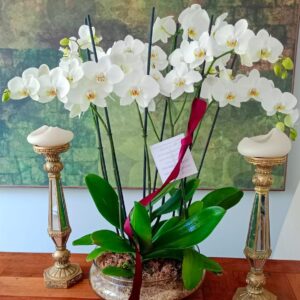 Arreglo XL Triple Blanco a Pedido 6 Varas Florales (Foto Referencial) - Maceta tipo Boina de 30cm de Diámetro